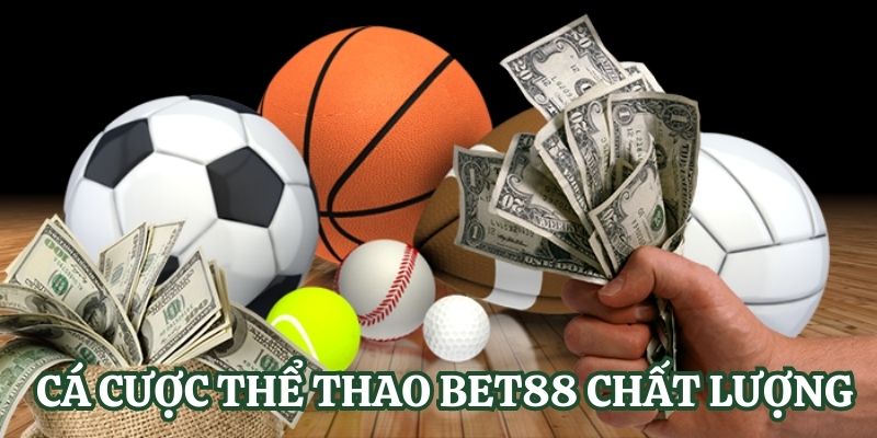 Thông tin về trang web trò chơi chọi gà 789P - 789P